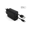 Fixed Pataisytas dvigubas USB kelioninio įkroviklio USB/USB-C laidas