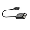 Fixed Fiksuotas OTG USB-C/USB-A, USB 2.0, 20 cm, juoda