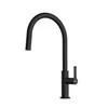 Kitchen mixer Franke Maris. matte juodas finish