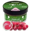 Boiliai Haldorado Ronnie Rig Pop Up 10mm - Sea Monster