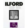 1x100 Ilford MG RC DL 44M 18x24