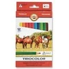 Spalvoti pieštukai tribriauniai KOH-I-NOOR Triocolor Jumbo, ø5,6mm (12) 1301-211