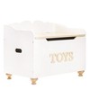 Žaislų Dėžė - Le Toy Van - 67,5x42,5x53 cm - FSC mediena - Amžius: 3+ - Dažyta rankomis