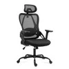 Mark Adler Meester Group Sp. su o.o. Manager ergonomic chair 2.9 Juodas