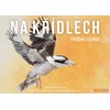 Mindok Na křídlech: Opeřená Oceánie – 2. rozšíření