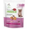 Natural Trainer Cat Kitten lašiša kačiukams su lašiša 0.3kg