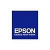 Laikiklis Epson Ceiling Pipe 450mm Sidabrinis ELPFP13 (V12H003P13)