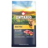 Ontario Adult Mini ėriena &amp; Brown ryžiai 6,5kg
