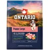 Ontario Puppy & Junior Large vištiena & Sweet bulvės 2.25kg