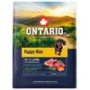 Ontario Puppy Mini ėriena & Brown ryžiai 2.25kg