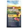 Ontario Puppy Mini ėriena & Brown ryžiai 6.5kg