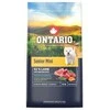 Ontario Senior Mini ėriena &amp; Brown ryžiai 6,5kg