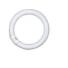 Osram 40W lempa LUMILUX T9 C, G10q, 4000K, 399mm