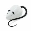 Petsafe FroliCat ROLORAT Automatic Cat Teaser automatinis žaislas katėms pelė