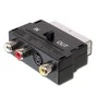 AV adapteris PremiumCord Krepšelis - RCA (Cinch) x3 + S- Video juodas