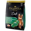 Prospera Plus Adult 1+ vištiena Optimal Wellness 2kg