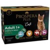 PROSPERA Plus 12x85 g suaugusioms katėms