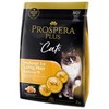 Prospera Plus Indoor 1+ lašiša Long Hair 2kg