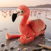 Rappa Eco-Friendly Pliušinis žaislas - flamingas, 23 cm