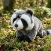 Rappa Eco-Friendly Pliušinis žaislas - meškėnas, 22 cm