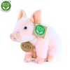 Disney Rappa - Plush Realistic Sitting Pig 18 cm Eco-Friendly
