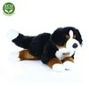 Rappa Pliušinis Bernese 44 cm EKOLOGIŠKAS