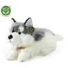Rappa Pliušinis Husky 32 cm EKOLOGIŠKAS