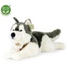 Rappa Pliušinis Husky 60 cm EKOLOGIŠKAS