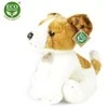 Rappa Plush Jack Russell Terrier 30 cm ECO-FRIENDLY