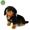 Rappa Plush Dachshund with collar 36 cm ECO-FRIENDLY