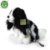 Rappa Plush King Charles Spaniel with leash 27 cm ECO-F.