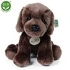 Rappa Plush Labrador Retriever 26 cm ECO-FRIENDLY