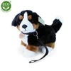 Rappa Pliušinis Bernese 22 cm EKOLOGIŠKAS