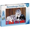 Ravensburger Dėlionė 200 vnt. - Haskiai