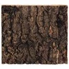 Reljefs terārijam : Repti Planet Background cork natural 19x17,3x2cm