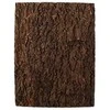 Reljefs terārijam : Repti Planet Background cork natural 43.5x56x2cm