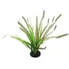 Dekors terārijam : Repti Planet Spartina grass, 30 cm