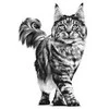 Royal Canin RC VD Cat Hypoallergenic 2,5kg ,sausas kačių pašaras