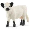 SCHLEICH FARM WORLD Galloway veislės karvė