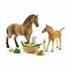 SCHLEICH HORSE CLUB „Arklių Klubas“: Saros jauniklių priežiūros rinkinys