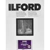 1x 50 Ilford MG RC DL 44M 30x40
