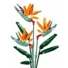 Konstruktorius Sluban gėlė Strelitzia Reginae Aiton, 269 det.