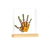 Tiny Love - FAMILY PRINTS (3333166041)