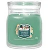 Yankee Candle Holiday Winterfest kvepianti žvakė, 368 g