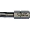 Yato Toya Sa Poland Antgalių rinkinys | 6.3 mm (1/4") | T-star (Torx) T25 | S2 | 10 vnt. (YT-78144)