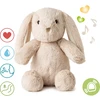 Cloud B muzikinis šviečiantis migdukas Billy Bunny