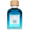 tualetinis vanduo Adolfo Dominguez A Dominguez Agua Fresca Citrus Etv 230ml