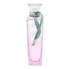 Adolfo Dominguez Agua Fresca Gardenia Musk tualetinis vanduo 120ml