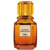 Ajmal Amber Precious EDP parfumuotas vanduo unisex, 100 ml