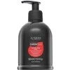 Alter Ego ChromeEgo Color Care Color Protection Mask plaukų kaukė, 300 ml